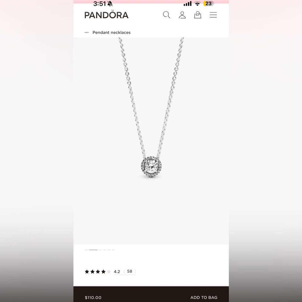 Pandora Radiant Silver Necklace